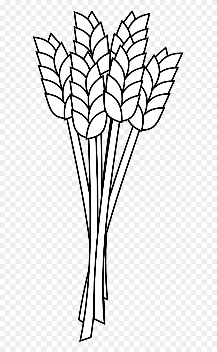 Wheat Flour Coloring Book Whole Grain Clip Art - Wheat Flour Coloring Book Whole Grain Clip Art #625723