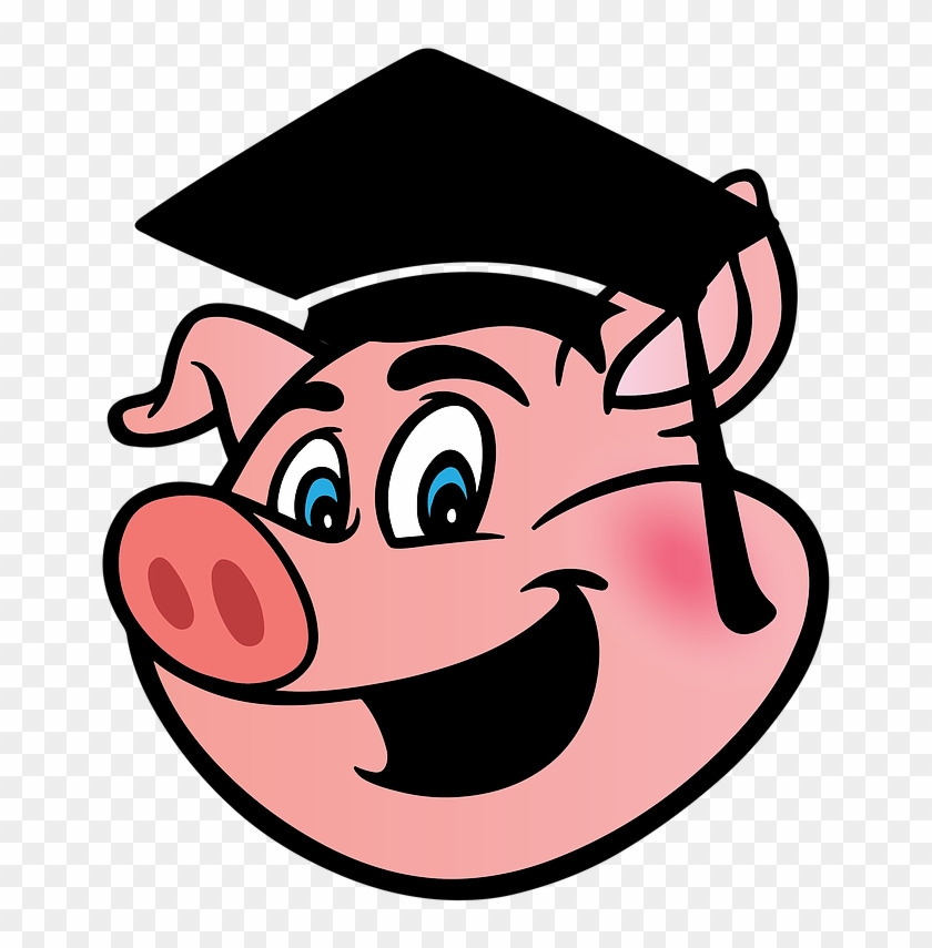 Pink Cartoon Pig Wearing A Graduation Mortorboard - Comic Schwein #625743