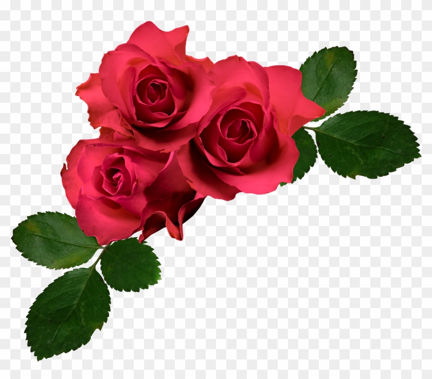 Flower Garden Roses Clip Art - Flower Garden Roses Clip Art #626096