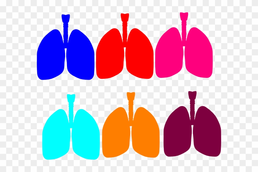Red Lung Clip Art #625930