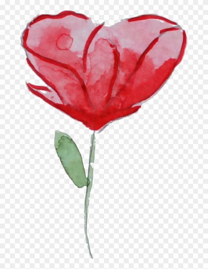 Flower Garden Roses Watercolor Painting Poppy Clip - Flower Garden Roses Watercolor Painting Poppy Clip #626363