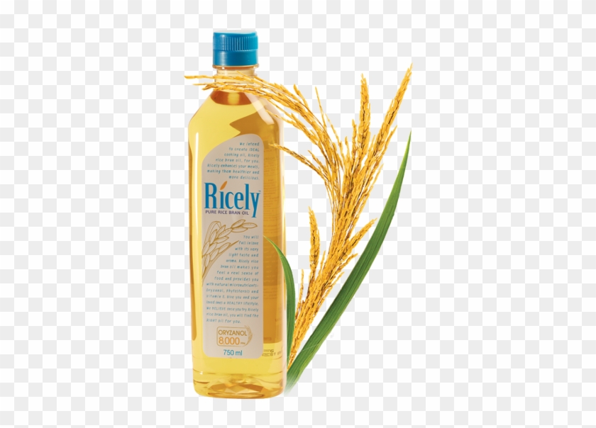 Kaset Farm Rice Bran Oil From Thailand - Bottle #626452