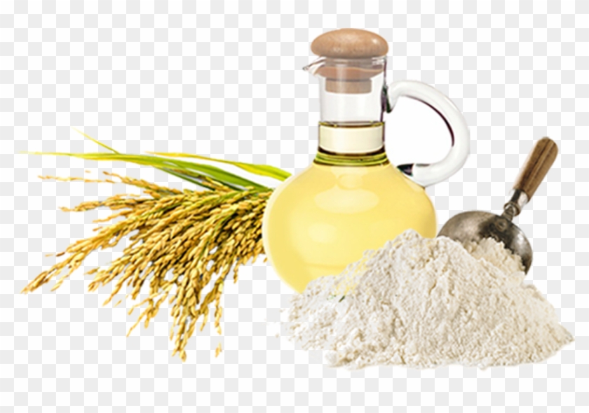 Defatted Rice Bran Production - Rice Bran Oil #626455