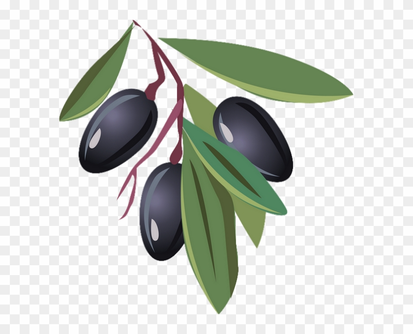 Branche - Dessin Olives Noires #626573
