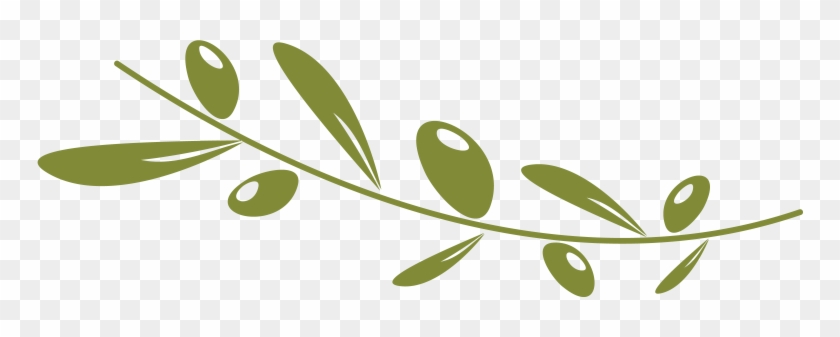Olive Oil Clipart Tree - Olive Png #626606