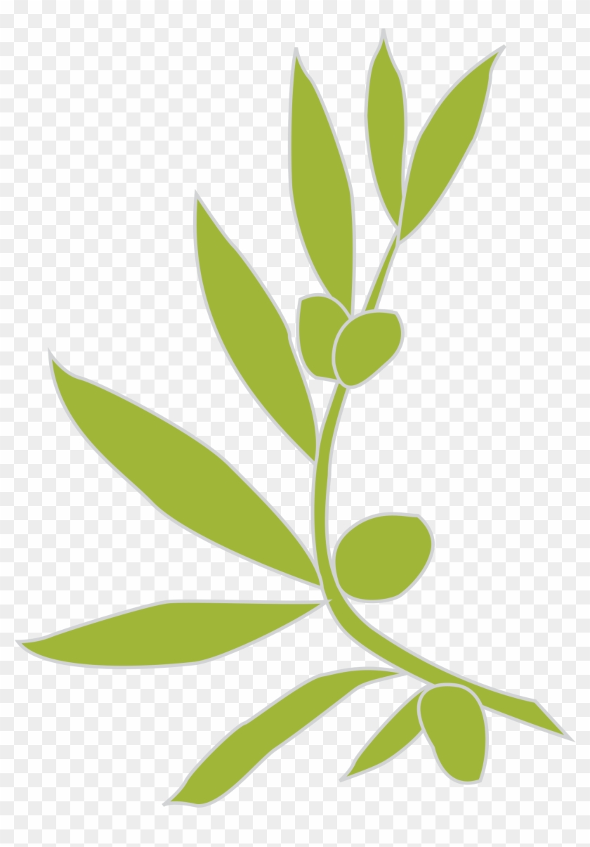 Olive Branch 22, Buy Clip Art - Olive Branch Png Vector #626627