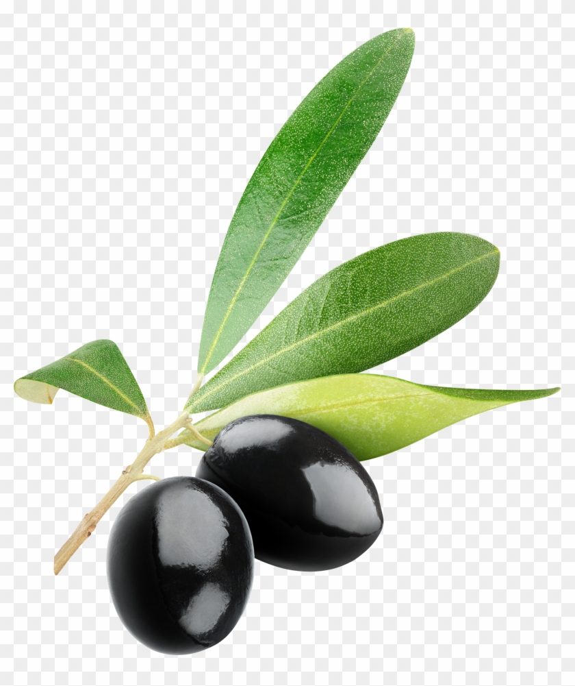 Black Olives Png - Dadi Amma Dadi Amma Maan Jao #626637
