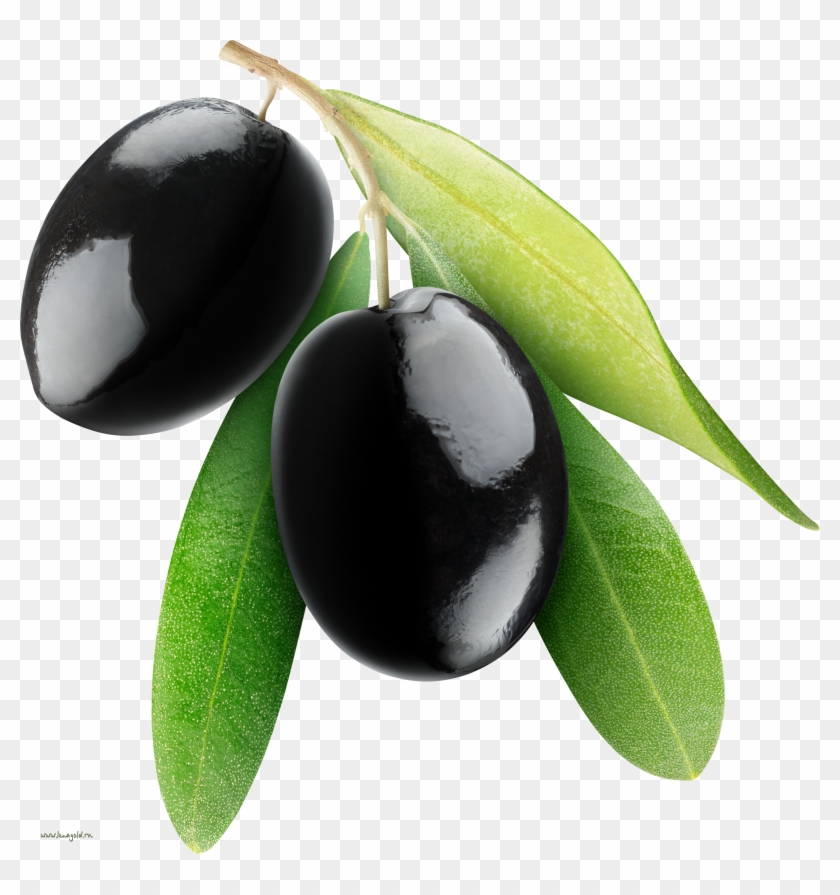 2 Kb, V - Olive Transparent Background #626641