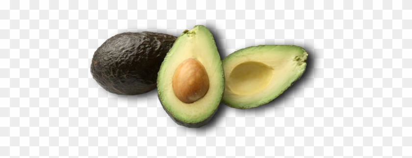 Avocado Png Clipart - Avacodo Clipart #626729