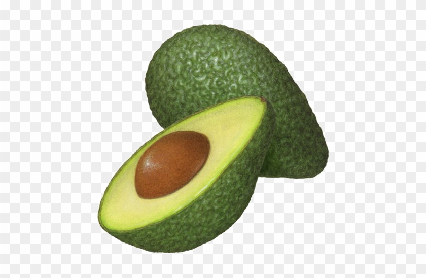 Half Avocado Png Clipart - Avocado Illustration #626740