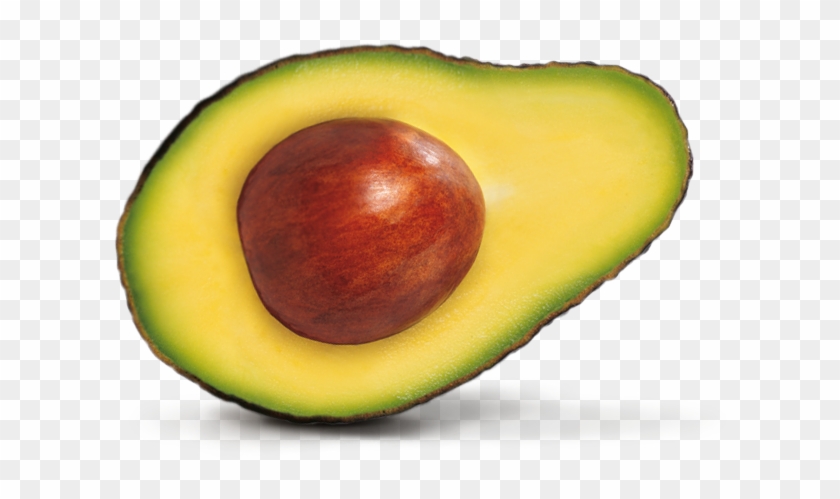 Avocado Png - Avocado Png #626746
