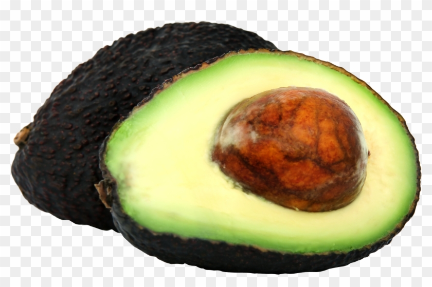 Avocado Png File - Avocado Png #626750