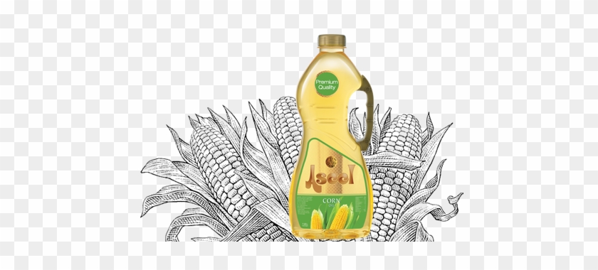 Aseel® Corn Oil Brings Out The Natural Rich Flavor - Aseel Corn Oil #626802