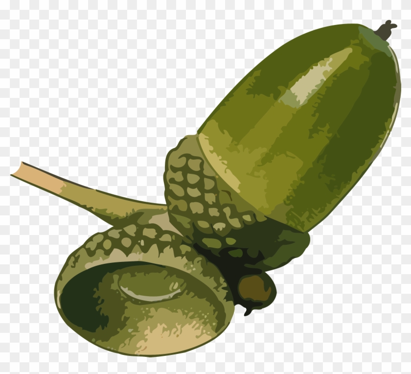 This Free Icons Png Design Of Acorn 3 - Green Acorn Clipart #626819
