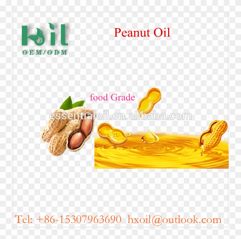 China Refined Peanut Oil, China Refined Peanut Oil - Nut #626943