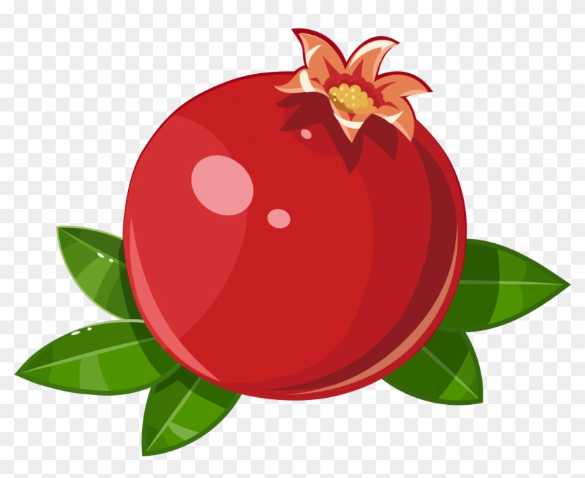 Pomegranate Frutti Di Bosco Fruit Illustration - Pomegranate Frutti Di Bosco Fruit Illustration #627104
