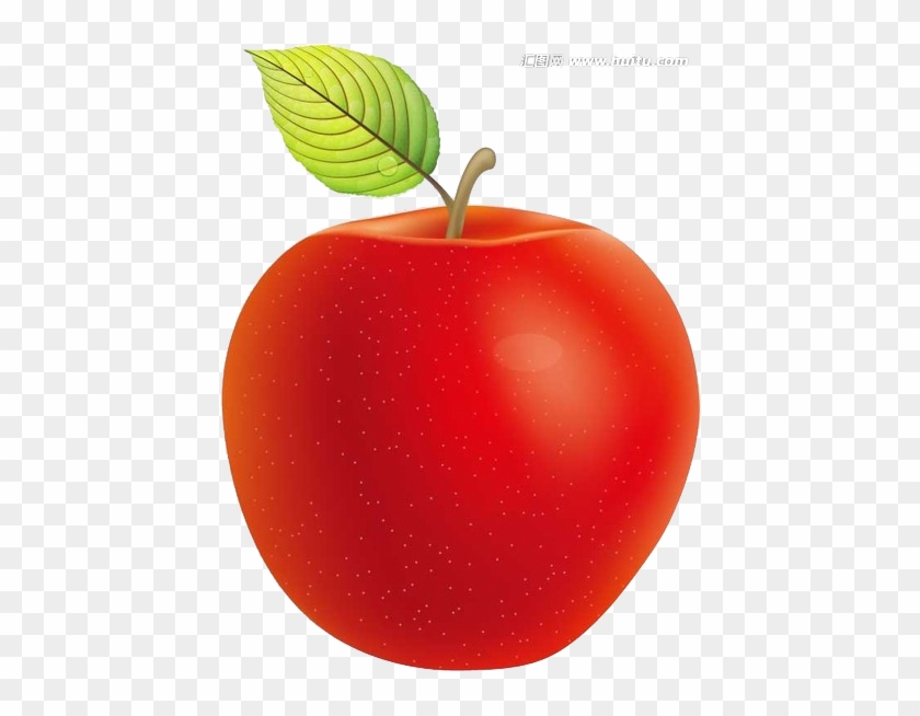 Apple Food Clip Art - Apple Food Clip Art #627052