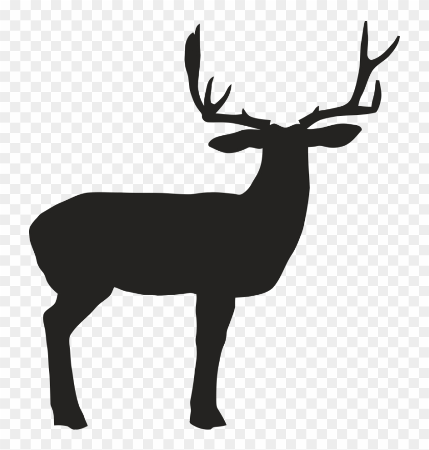 Reindeer White-tailed Deer Elk Antler - Reindeer White-tailed Deer Elk Antler #627350