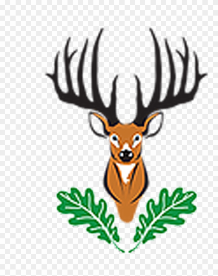 Oak Ridge Whitetail Deer Hunting Adventures - Elk #627365