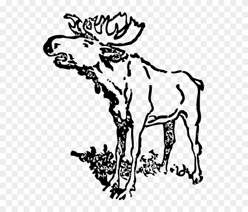Loud, Moose, Animal, Antlers, Head, Cartoon - Black And White Moose #627396