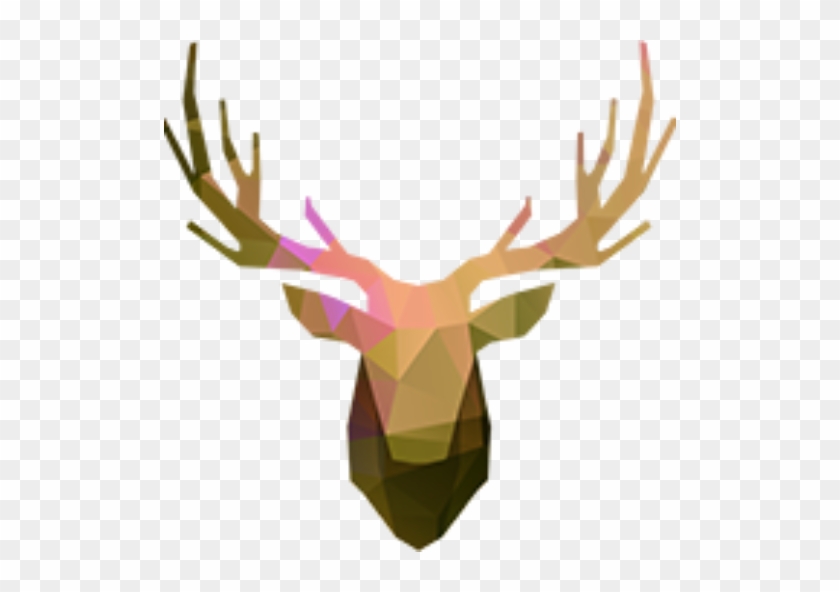 Venado De Frente Dibujo #627436
