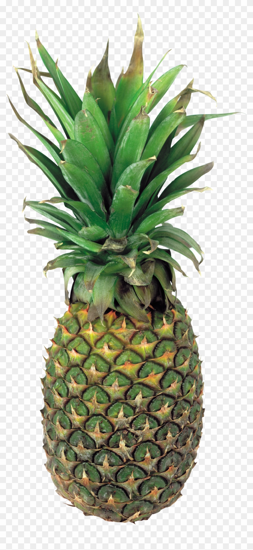 Pineapple - Pineapple #627670