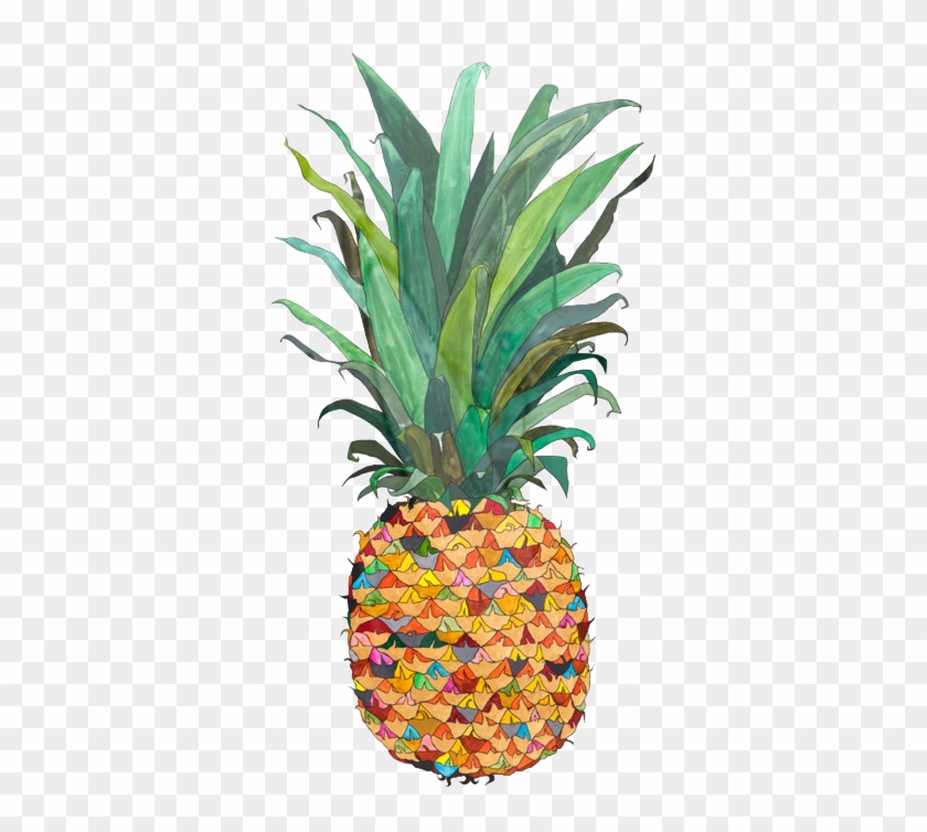 Tumblr Transparent Pineapple - Pineapple Drawing #627730