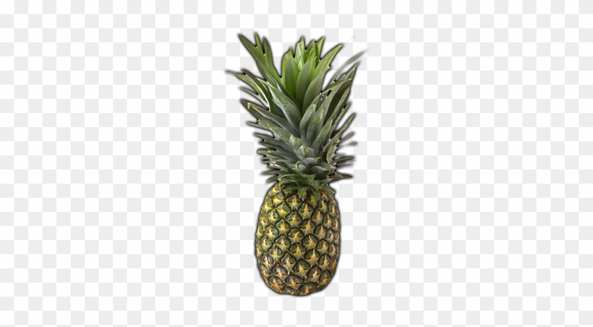 Pineapple Green Png - First The Spiritual Then The Natural Fruit #627742