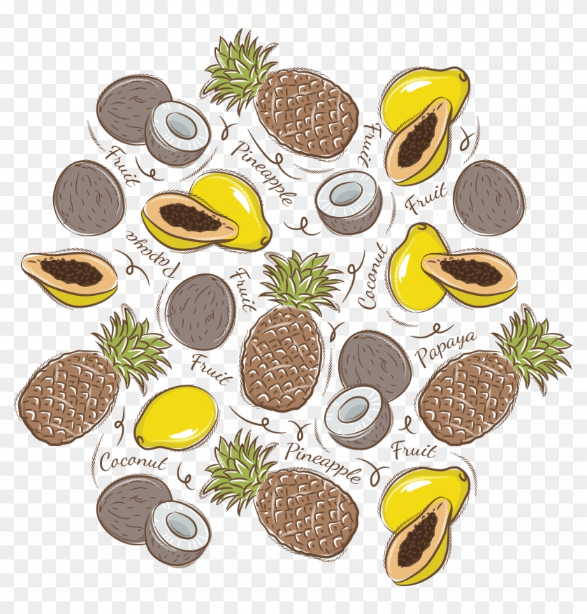 Pineapple Paper Coconut Fruit - Vector Graphics #628031