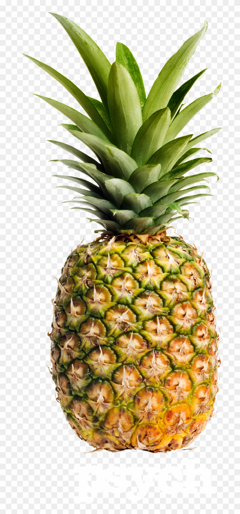 pineapple transparent