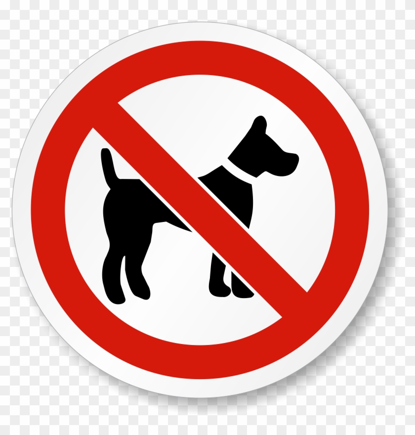 No Dog Allowed Iso Prohibition Safety Symbol Label - No Dogs Allowed Sign #628527