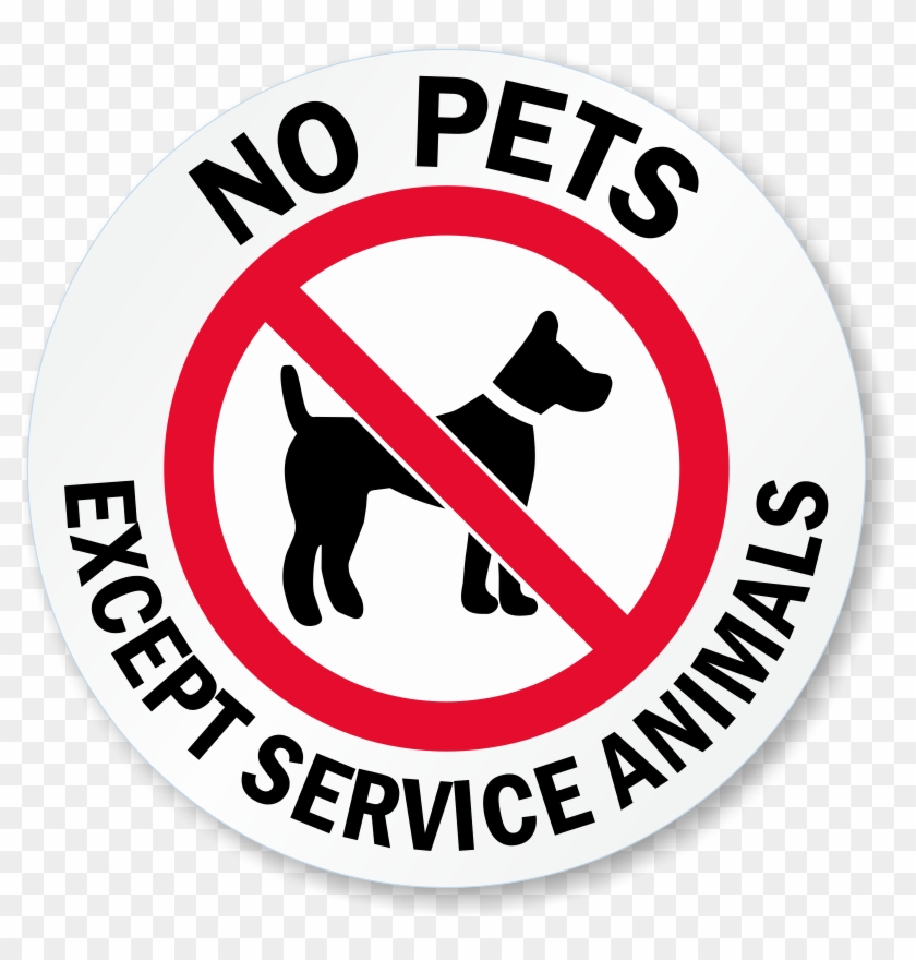 Stylish No Animals Allowed Sign Service Animal Signs - Stylish No Animals Allowed Sign Service Animal Signs #628582