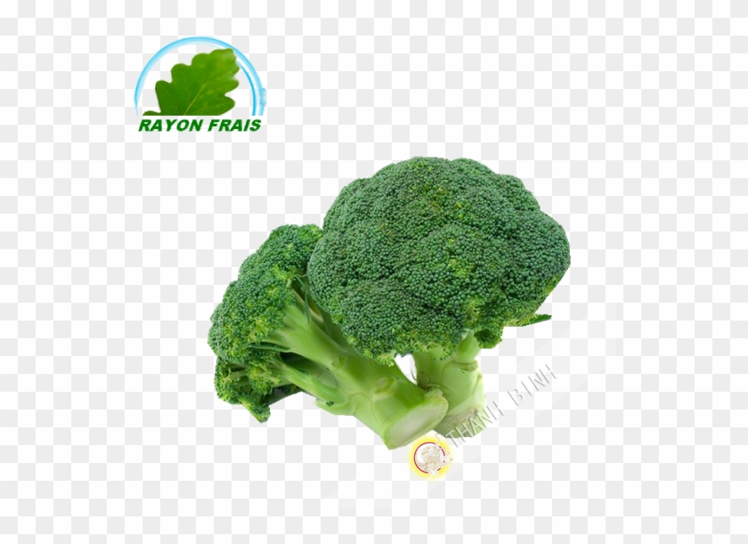Naturally Treated Organic Broccoli Seeds (50 Seeds) #628589