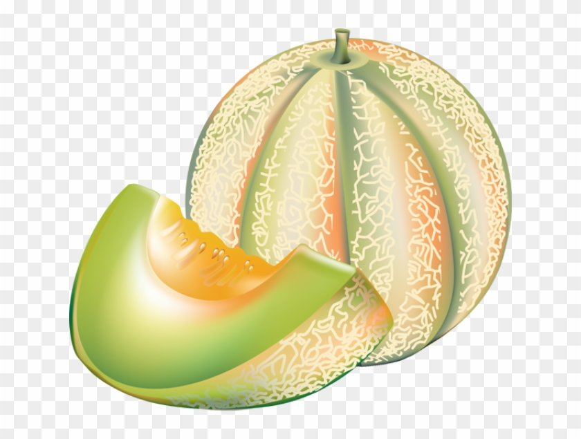 clipart cantaloupe