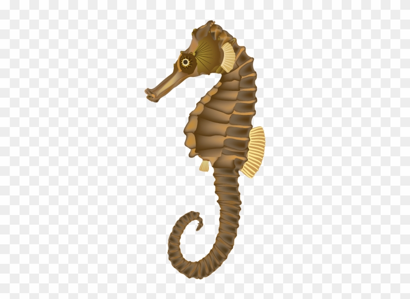 Seahorse Clip Art - Sea Horse Transparent Png #628870