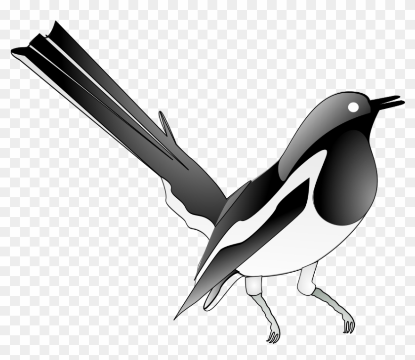 Songbird Clipart Black And White - Magpie Clip Art #628905
