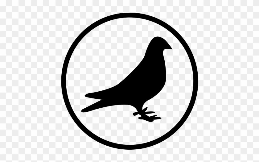 Dove, Feral, Pigeon Icon - Bad Company Fame And Fortune #628928