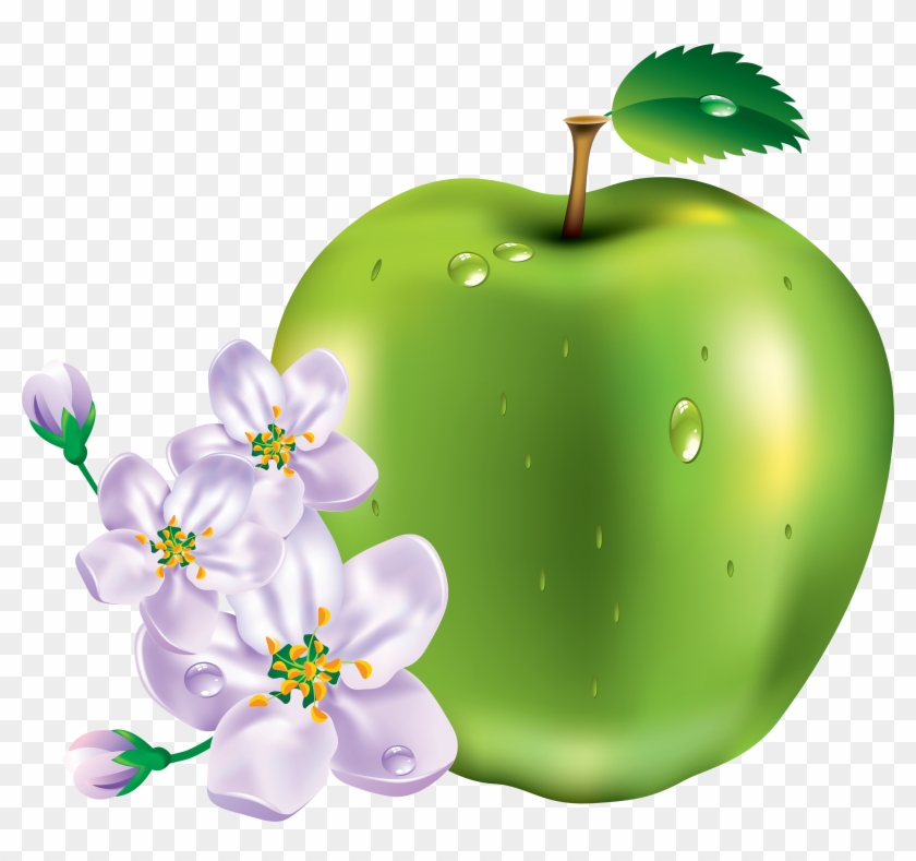 Apple Png - All Kinds Of Fruits #628956