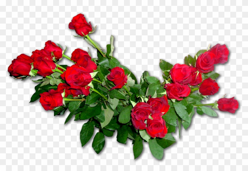 Garden Roses Flower Bouquet Floribunda - Рамки На Прозрачном Фоне Розы #629019