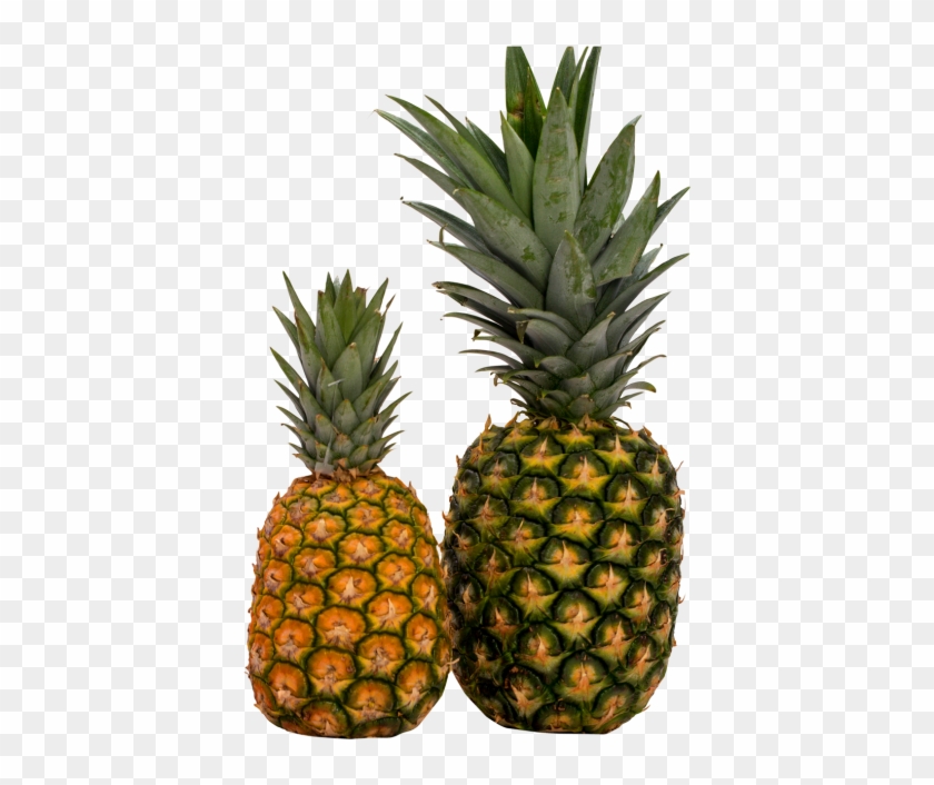 Download Pineapple Png Image - Portable Network Graphics #629063