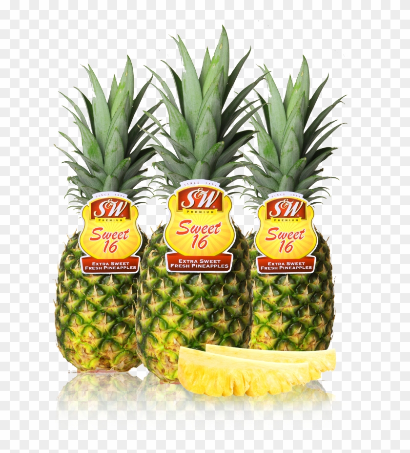 Pineapple - S&w Pineapple #629080