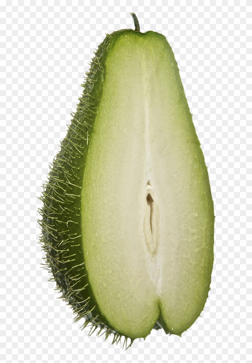 Chayote Melon Stock - Chayote Melon Stock #629422