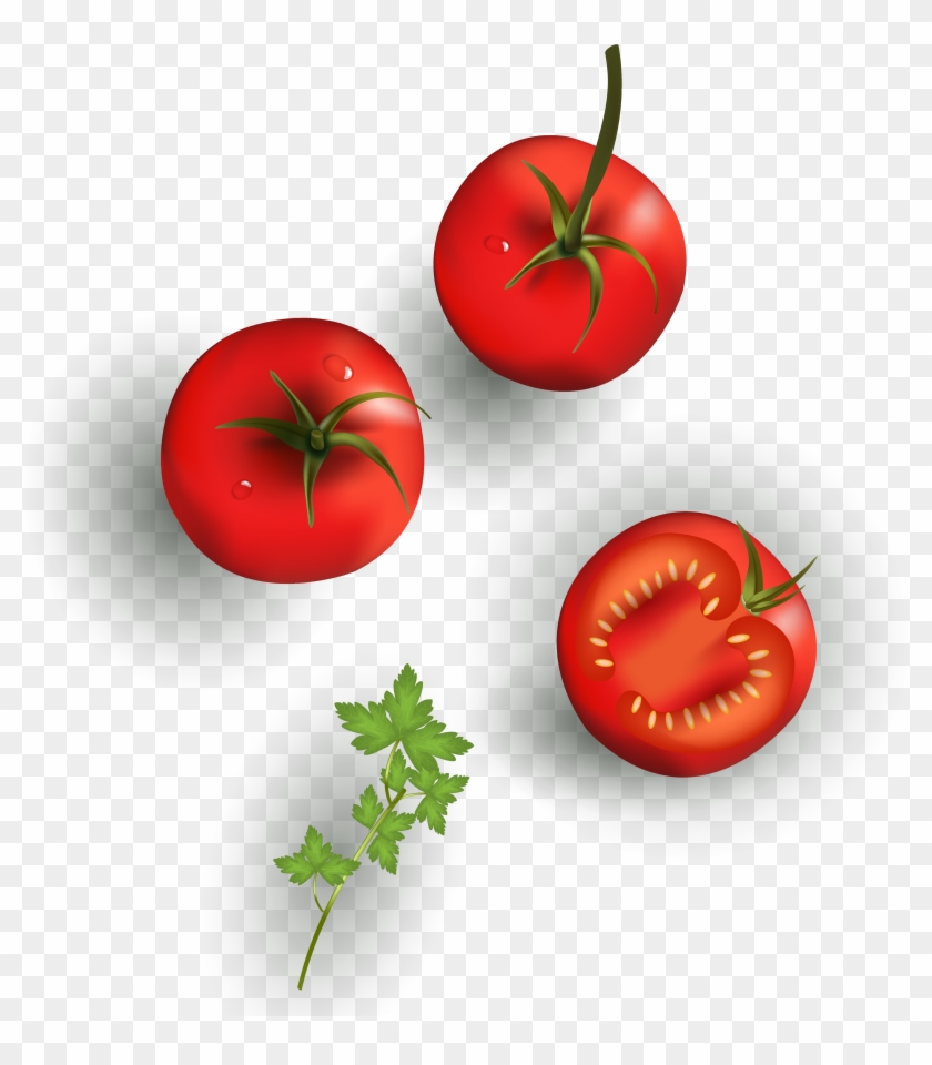 Cherry Tomato Vegetable Drawing Food - Tomato #629367