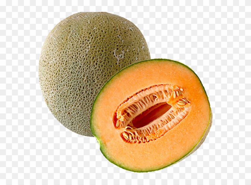 Cantaloupe Melon Png #629365