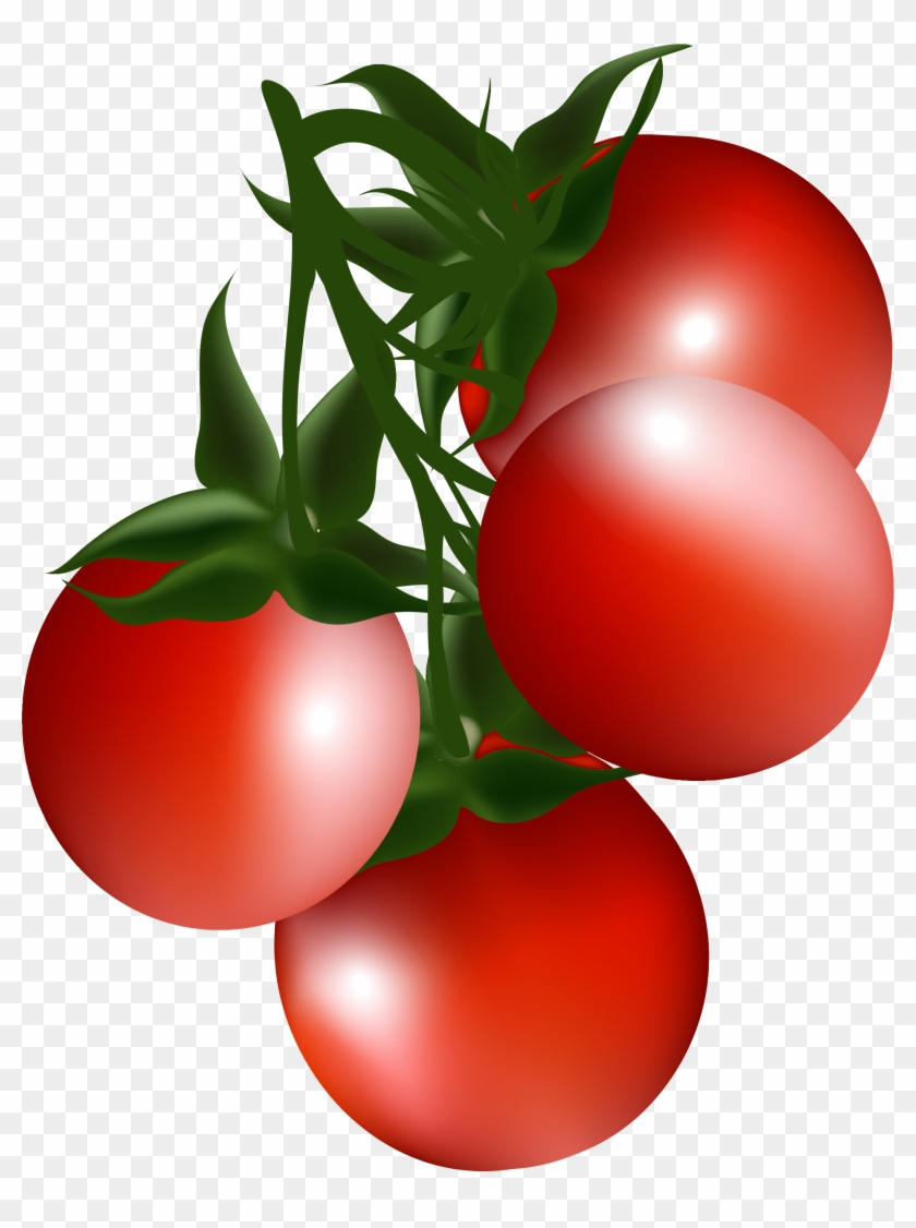 Cherry Tomato Bush Tomato Clip Art - Clip Art #629468
