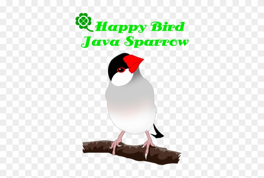 Happy Bird Java Sparrow （桜文鳥） - Dog Days Of Summer #629641