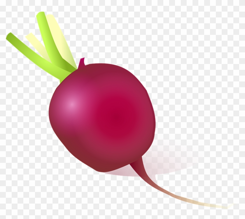 Food, Cartoon, Vegetables, Plant, Radish, Vegetable - Radish Cartoon Png #629736