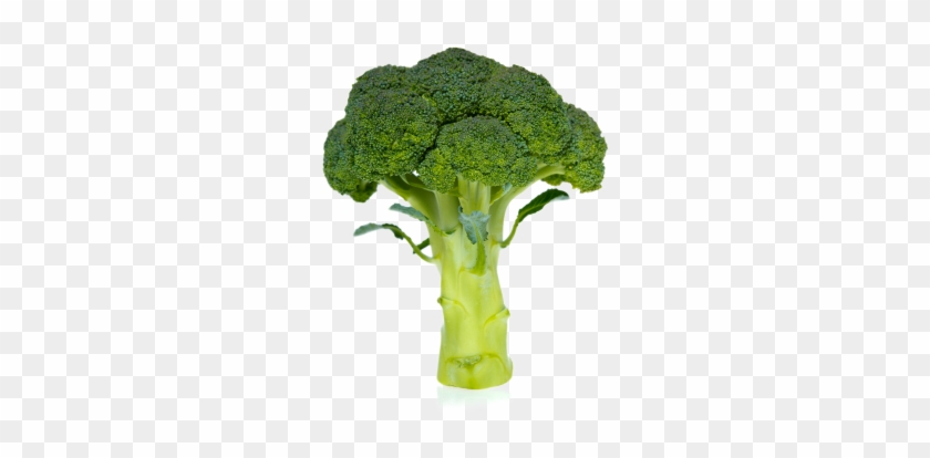 Broccoli - Vertus De Brocoli #629774