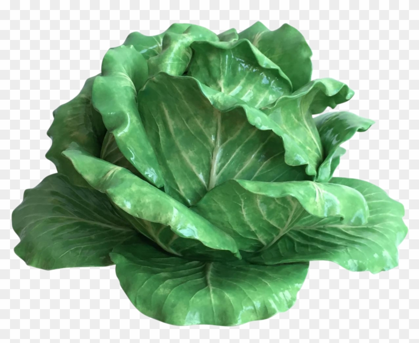 Butterhead Lettuce #629780