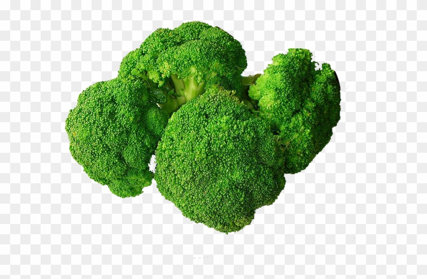 Broccoli Food Vegetable Eating Nutrition - Broccoli Food Vegetable Eating Nutrition #629831